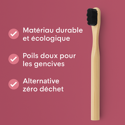 Brosses à dents en bambou